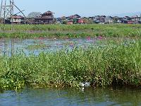 Lac Inle (29)